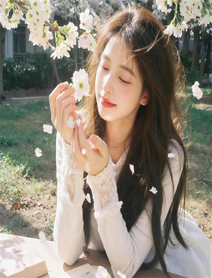 泡芙小姐第5季的文化对话：票房的收入数据与市场反应 思考文化传承与创新的路径